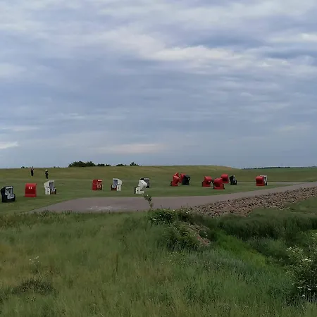 Moeven-kieker Friedrichskoog